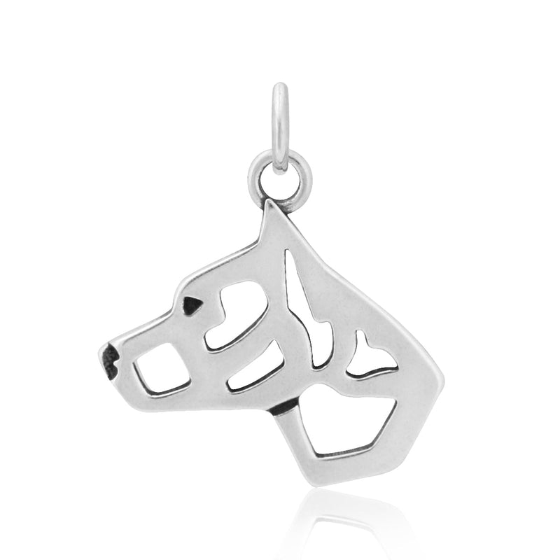 American Staffordshire Terrier