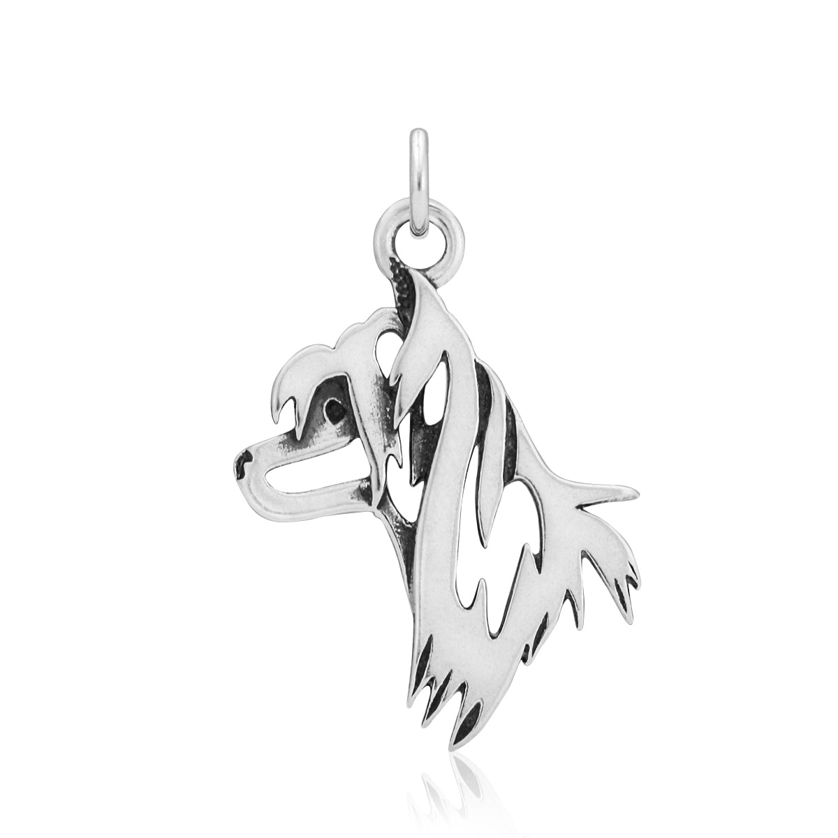 Chinese Crested