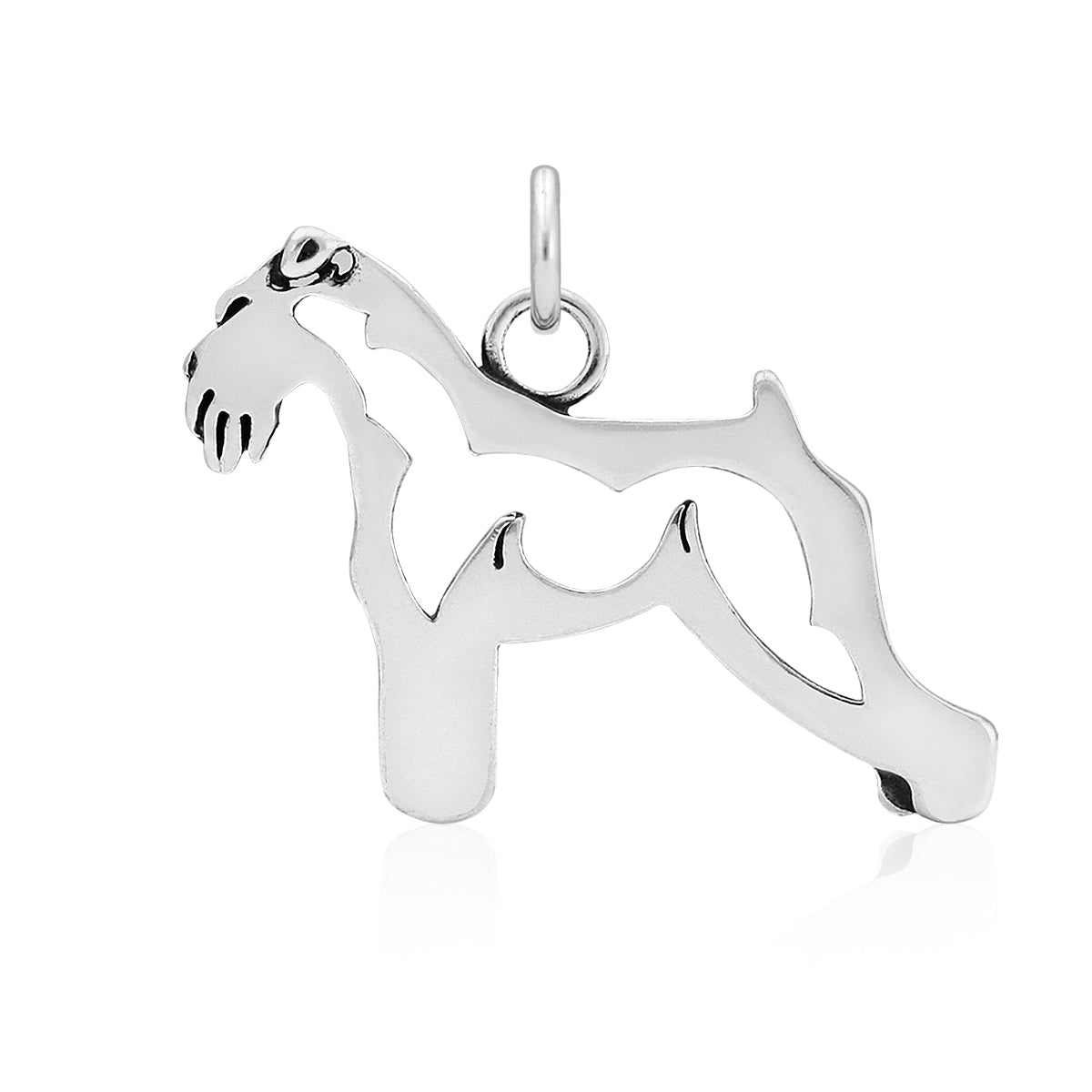 Schnauzer
