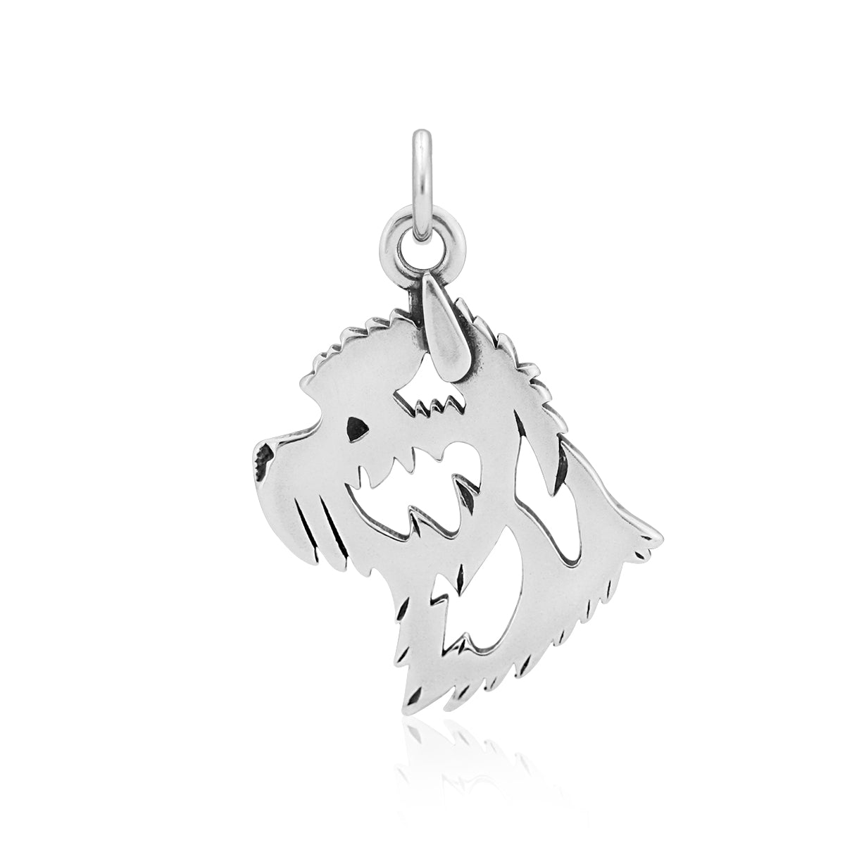 Cairn Terrier