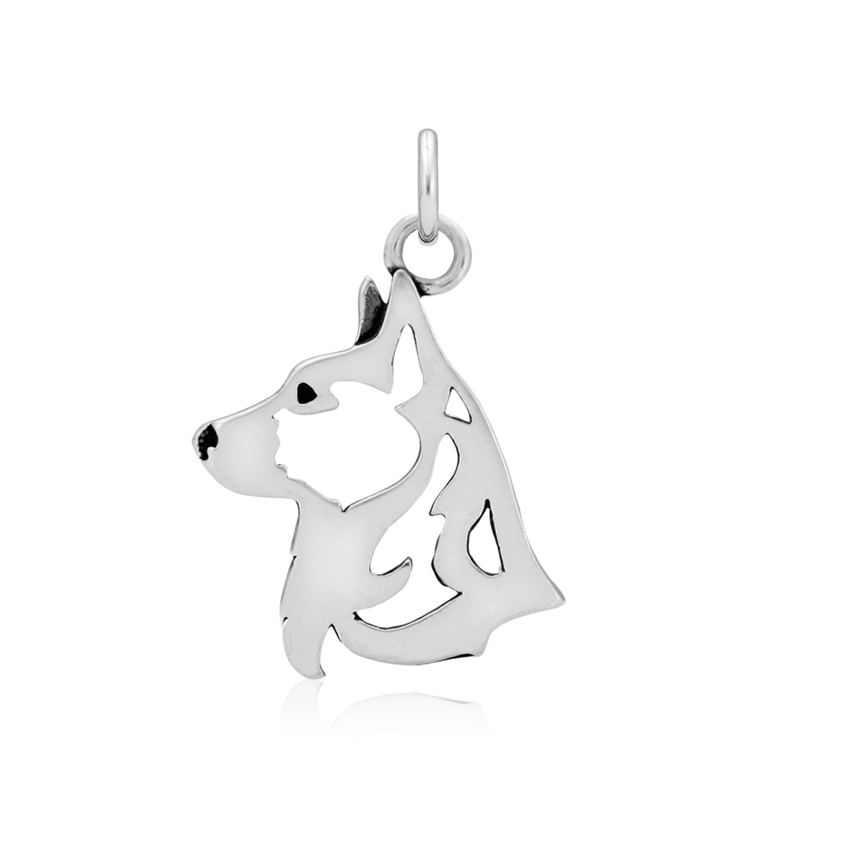 Cardigan Welsh Corgi