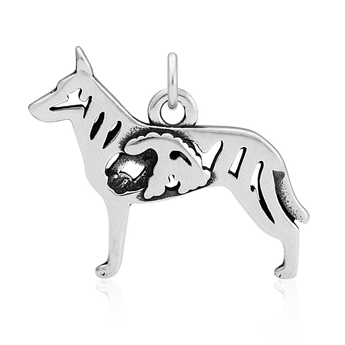 Dutch Shepherd