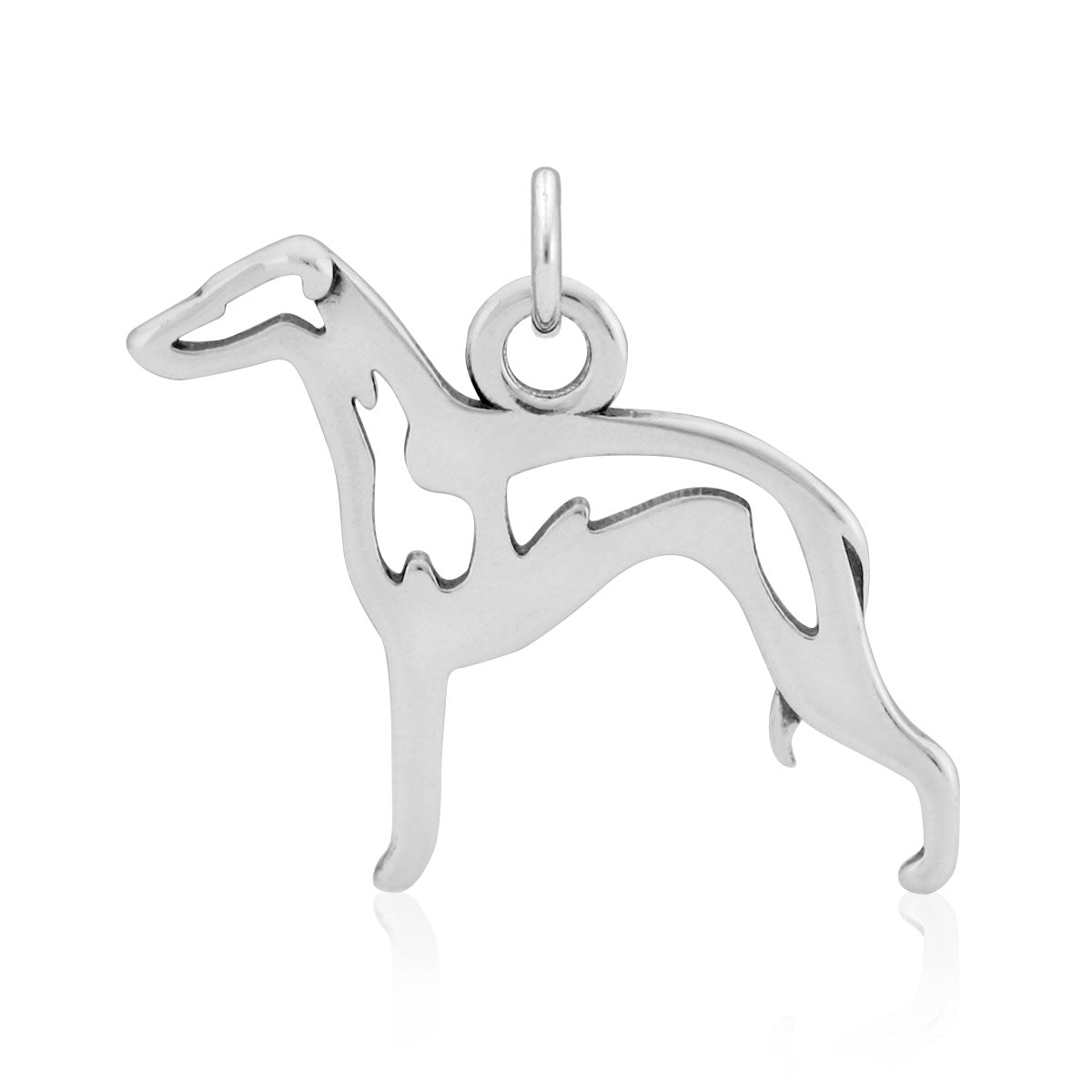Italian Greyhound
